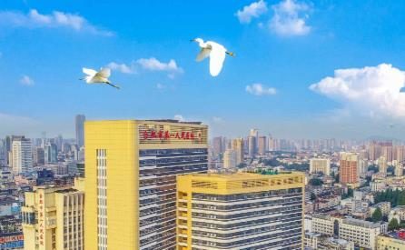合肥市第一人民医院