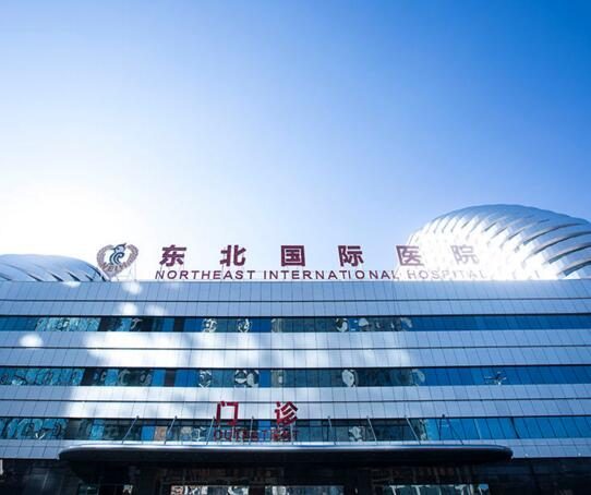 东北国际医院